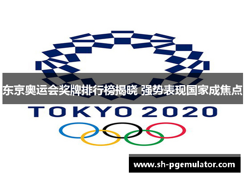 东京奥运会奖牌排行榜揭晓 强势表现国家成焦点